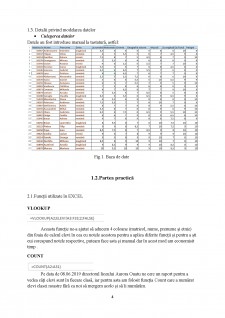 Proiect Excel - informatică pentru afaceri - Pagina 4