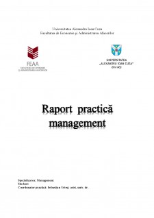 Raport practică management - Pagina 1