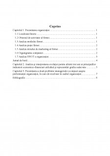 Raport practică management - Pagina 2