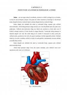 Rolul asistentului medical în îngrijirea pacientului cu infarct miocardic acut necomplicat - Pagina 5
