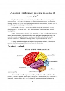 Cogniția localizată în sistemul anatomic al creierului - Pagina 1