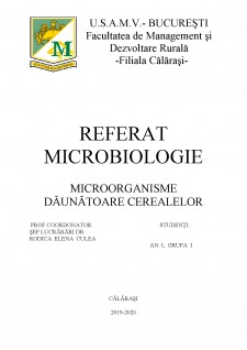 Microorganisme dăunătoare cerealelor - Pagina 1