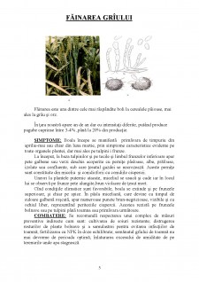 Microorganisme dăunătoare cerealelor - Pagina 5