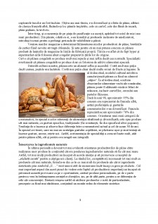 Analiza pieței cu structurile ei - piața pâinii în România - Pagina 3