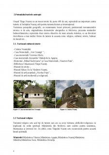 Analiza situației turistice din Târgu Neamț și împrejurimi - Pagina 4