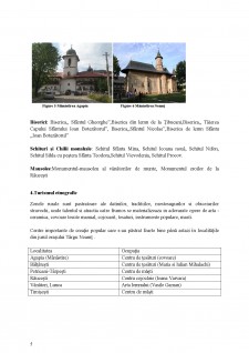 Analiza situației turistice din Târgu Neamț și împrejurimi - Pagina 5