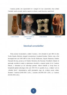 Cultura Cucuteni - Pagina 3