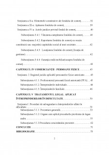 Cadrul general și special privind categoriile de profesioniști în reglementarea actuală - Pagina 2