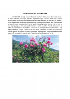 Proiectarea dulceții de trandafiri din punct de vedere al standardizării - Pagina 3