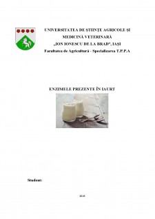 Enzimele prezente în iaurt - Pagina 1