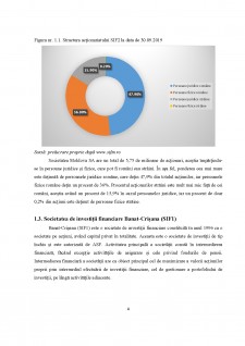 Analiza structurii portofoliilor pentru Societățile de Investiții Financiare. Abordare comparativă SIF2 Moldova și SIF1 Banat-Crisana - Pagina 4