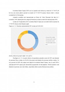 Analiza structurii portofoliilor pentru Societățile de Investiții Financiare. Abordare comparativă SIF2 Moldova și SIF1 Banat-Crisana - Pagina 5