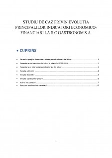 Studiu de caz privin evoluția principalilor indicatori economico-financiari la SC Gastronom SA - Pagina 2