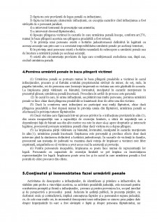 Drept Procesual Penal - Pagina 4