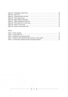 Analiza unui site web - Castellini Tailoring - Pagina 5