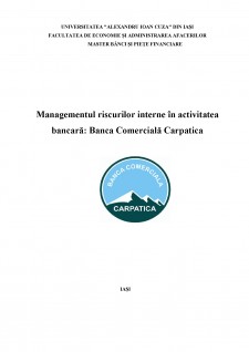 Managemntul riscurilor în activitatea bancară - Banca Comercială Carpatica - Pagina 1