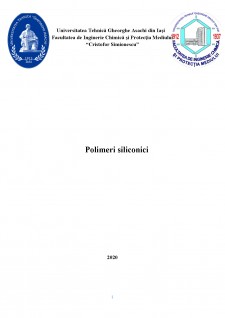 Polimeri siliconici - Pagina 1