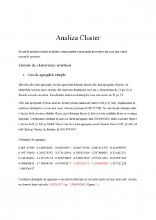 Analiza Cluster - Pagina 1