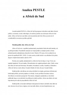 Analiza PESTLE a Africii de Sud - Pagina 2