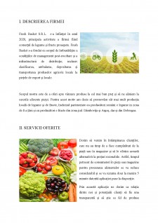 Plan afaceri - Fresh Basket - magazin fructe și legume proaspete - Pagina 3