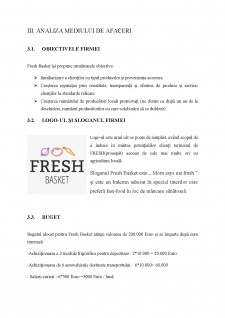 Plan afaceri - Fresh Basket - magazin fructe și legume proaspete - Pagina 5