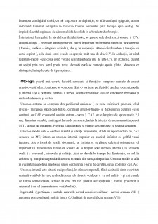 Noțiuni elementare de otorinolaringologie - Pagina 3