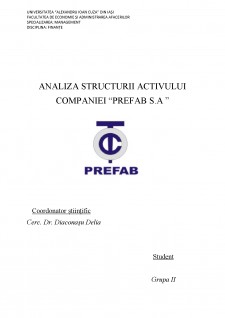 analiza structurii activului companiei Prefab SA - Pagina 1