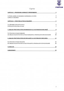 analiza structurii activului companiei Prefab SA - Pagina 2