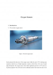 Oxygen sensors - Pagina 2