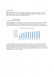 Analiza bilanț OIL Terminal SA - Pagina 1