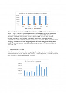 Analiza bilanț OIL Terminal SA - Pagina 2