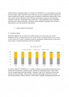 Analiza bilanț OIL Terminal SA - Pagina 5