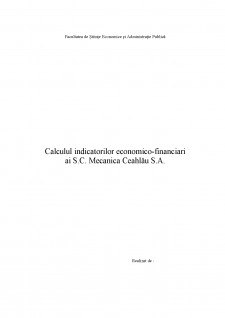 Calculul indicatorilor economici ai SC Mecanică Ceahlău SA - Pagina 1