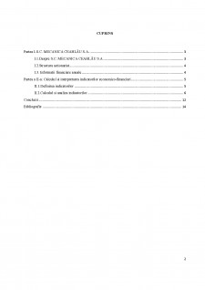 Calculul indicatorilor economici ai SC Mecanică Ceahlău SA - Pagina 3