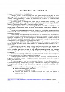 Calculul indicatorilor economici ai SC Mecanică Ceahlău SA - Pagina 4
