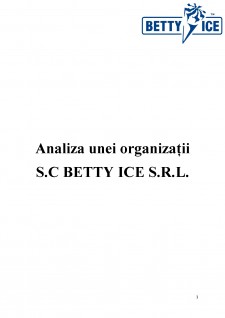 Analiza unei organizații SC Betty Ice SRL - Pagina 1