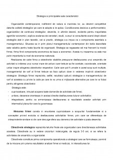 Strategia de dezvoltare a firmei abatorul Periș SA - Pagina 2