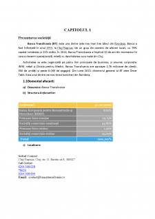Analiza economico-financiară a întreprinderii Banca Transilvania - Pagina 3