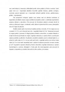 Amenajarea unei zone verzi în Curtea de Argeș - Pagina 4
