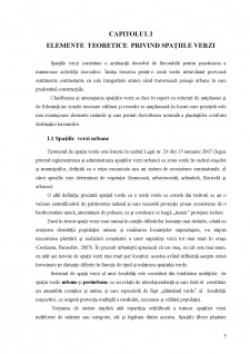 Amenajarea unei zone verzi în Curtea de Argeș - Pagina 5