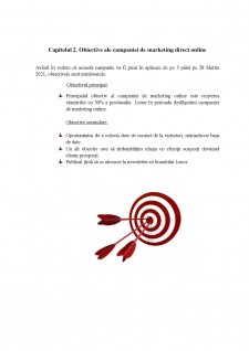 Planul unei campanii de marketing online - Lenor - Pagina 5