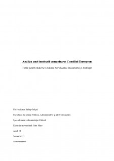 Analiza unei instituții comunitare - Consiliul European - Pagina 1