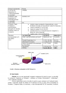 Analiza structurii poziției financiare a firmei OMV Petrom - Pagina 2