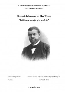 Recenzie la lucrarea lui Max Weber - Politica, o vocație și o profesie - Pagina 1