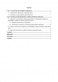 Modalități de îmbunătățire a calității auditului intern - Pagina 2