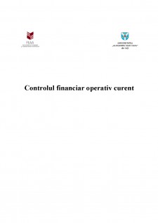 Controlul financiar operativ curent - Pagina 1