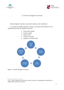 Formele integrării economice - Pagina 5