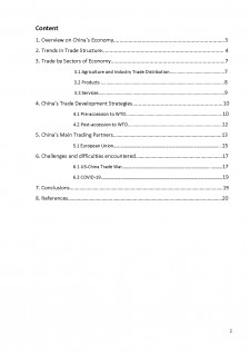 China's trade policy - main measures, challenges and trends - Pagina 2