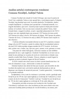 Analiza satului contemporan românesc - Pagina 1