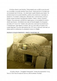 Analiza satului contemporan românesc - Pagina 3